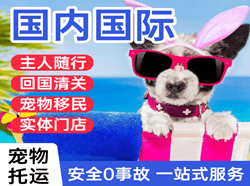 泉州国际宠物托运 【国